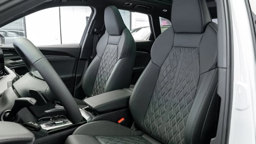 Obrázek SQ5 TFSI quattro 270 kW