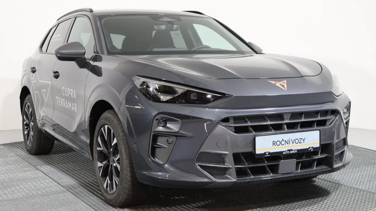 Obrázek Terramar 1.5 eTSI 150k DSG