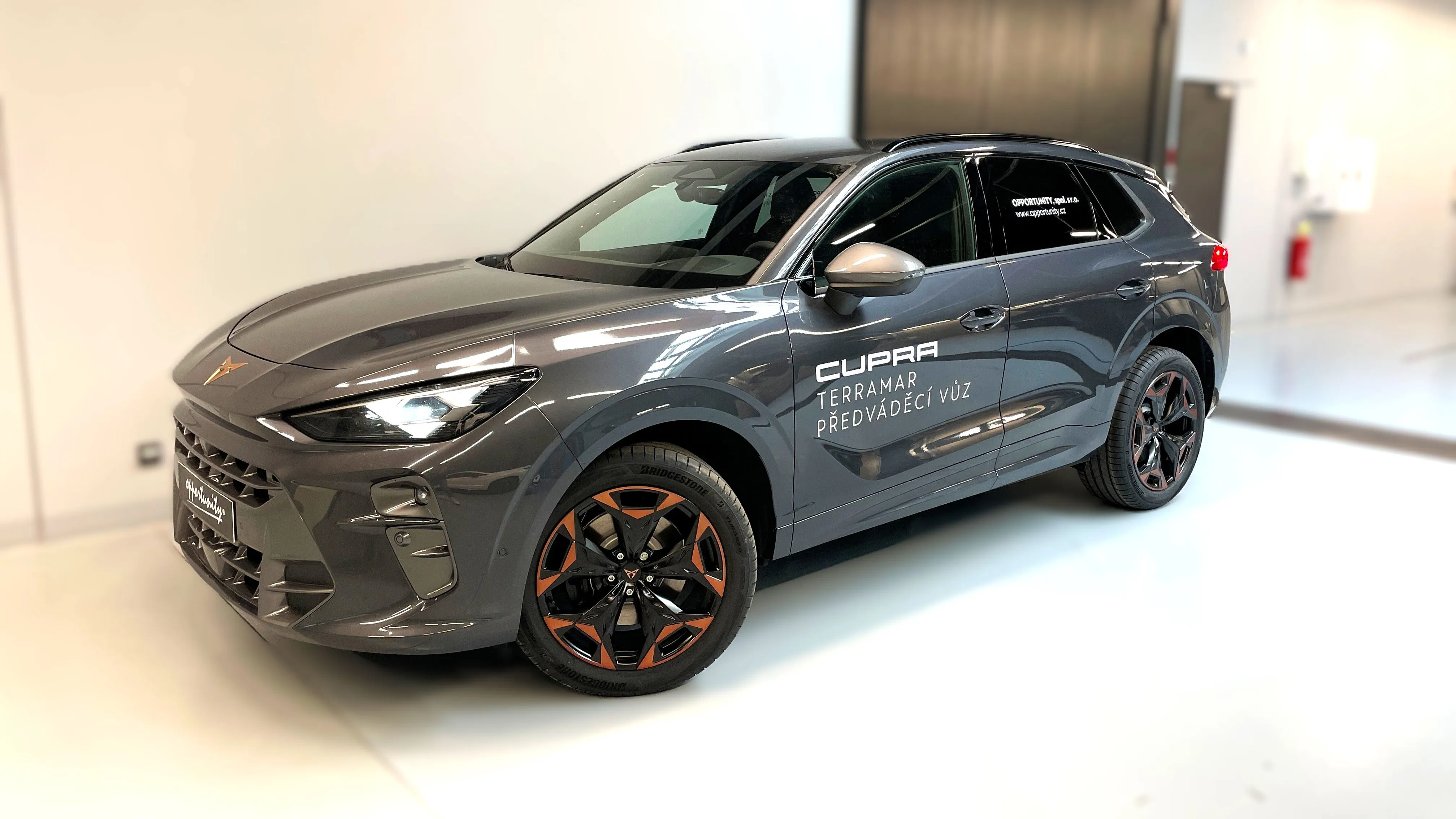 Obrázek Terramar VZ 2.0 TSI 265k DSG 4WD