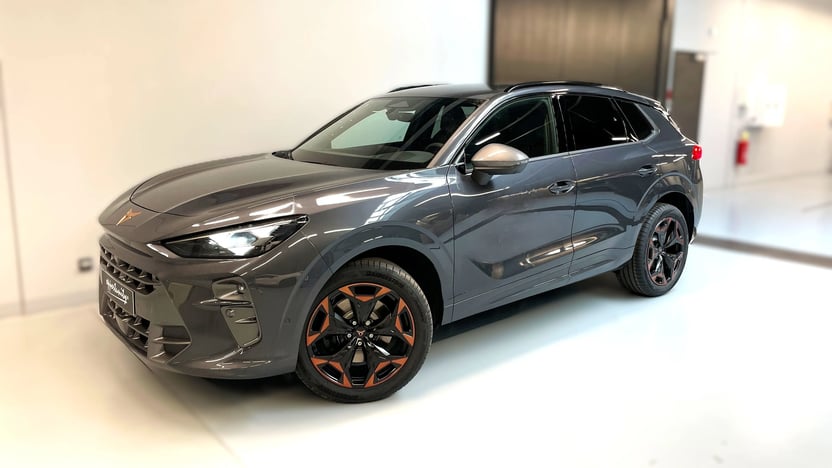 Obrázek Terramar VZ 2.0 TSI 265k DSG 4WD