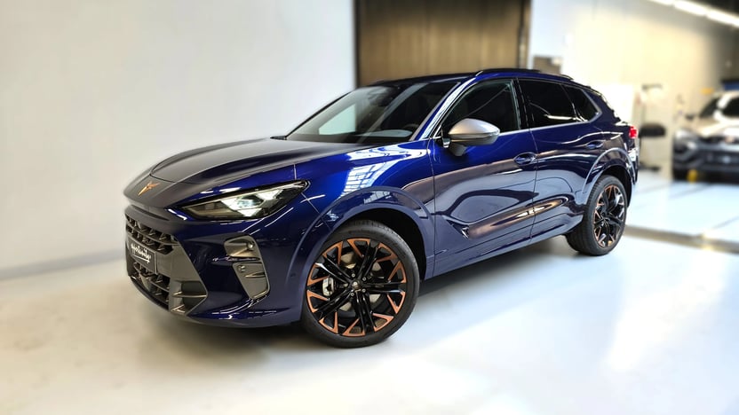 Obrázek Terramar 2.0 TSI 204k DSG 4WD