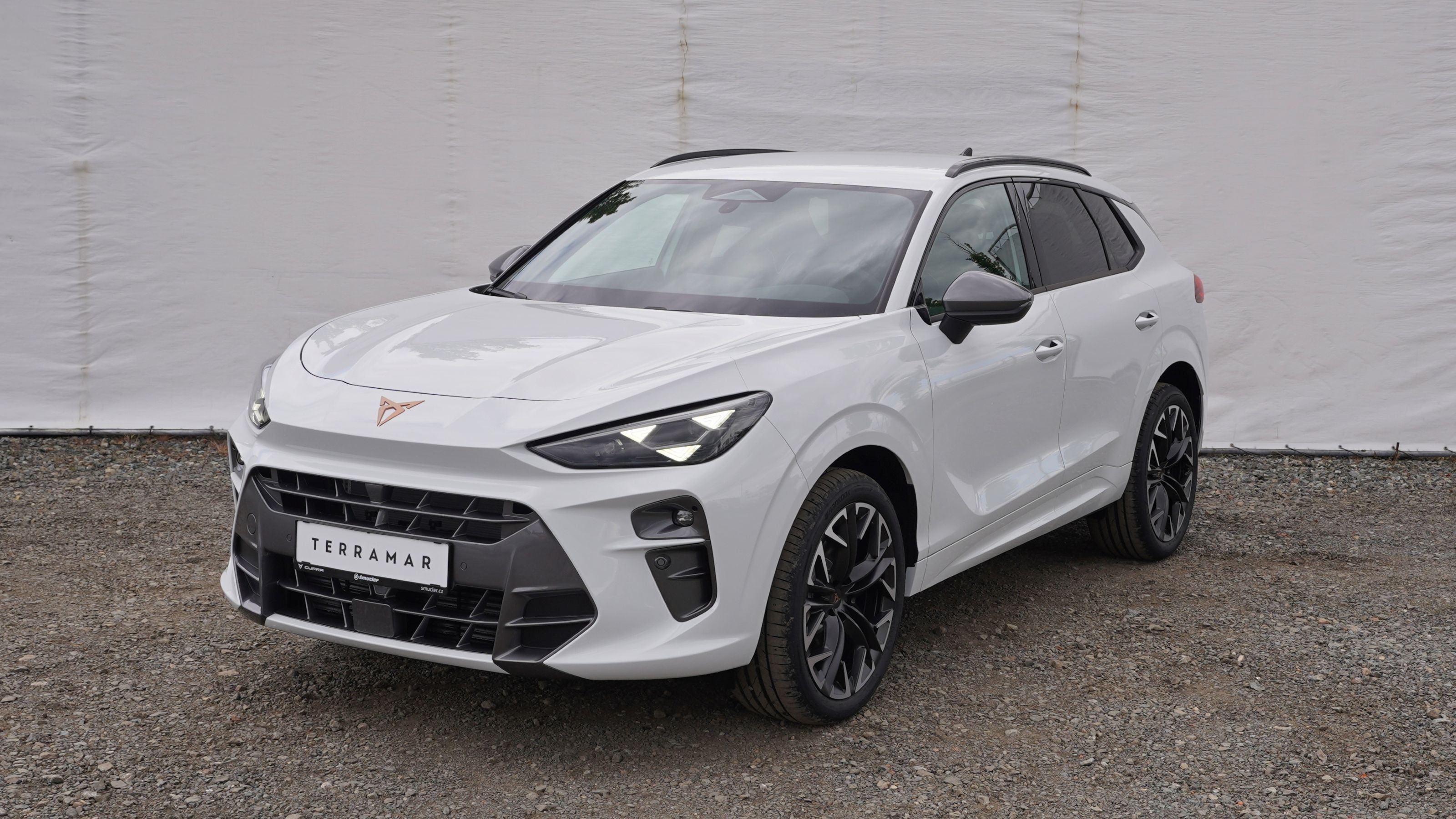 Obrázek Terramar 2.0 TSI 204k DSG 4WD