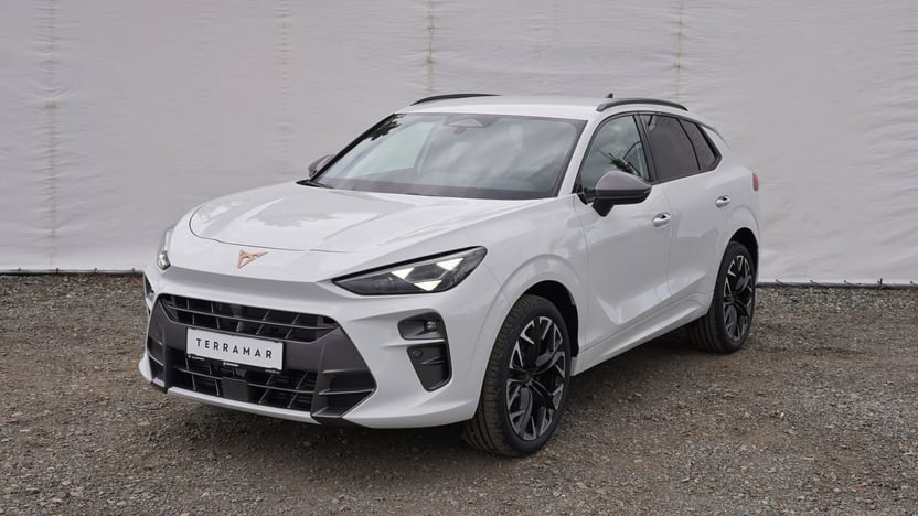 Obrázek Terramar 2.0 TSI 204k DSG 4WD