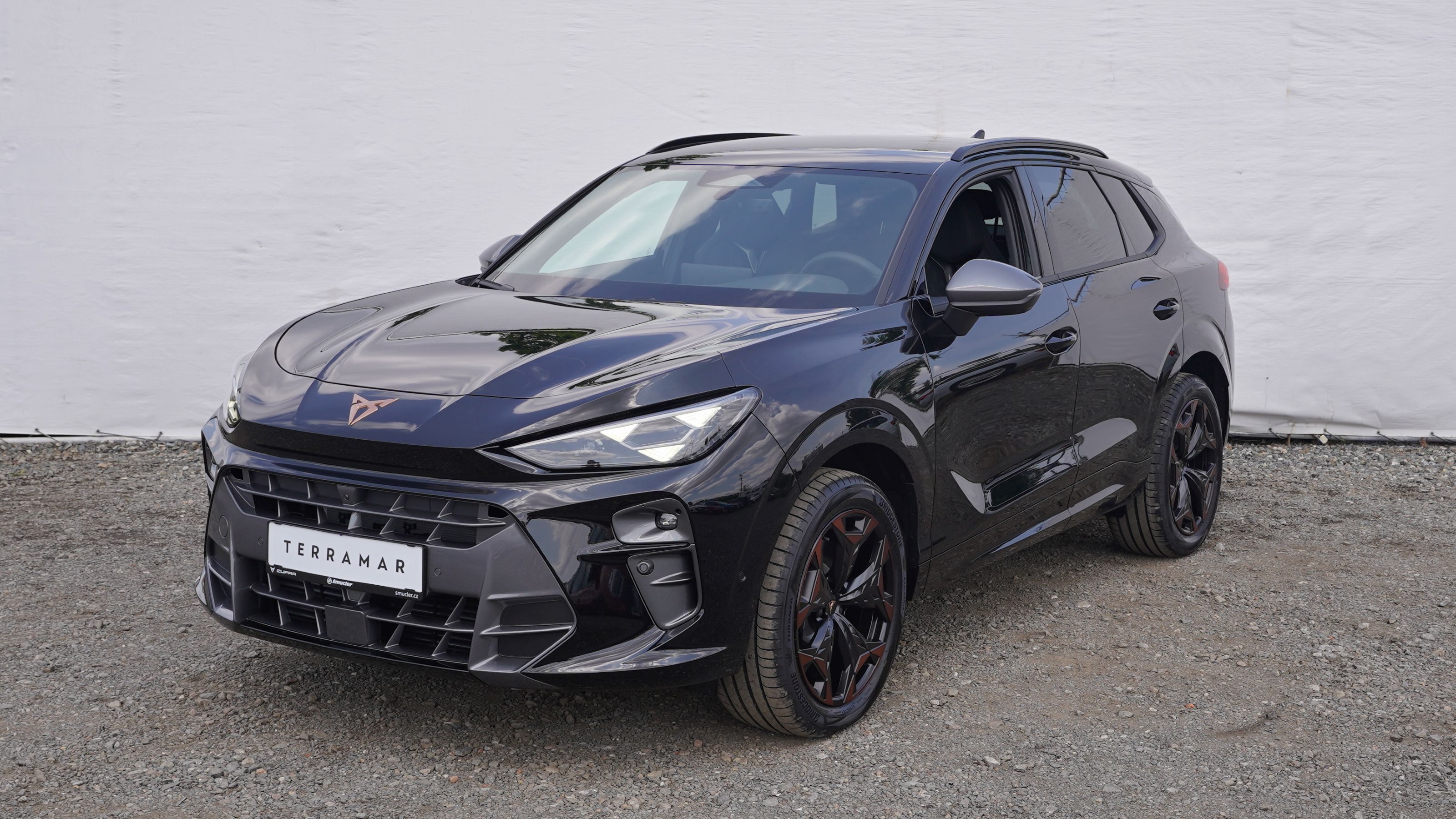 Obrázek Terramar VZ 2.0 TSI 265k DSG 4WD