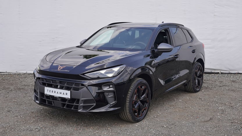 Obrázek Terramar VZ 2.0 TSI 265k DSG 4WD