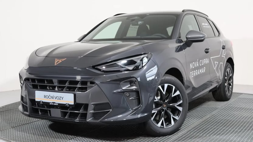 Obrázek Terramar 2.0 TSI 204k DSG 4WD