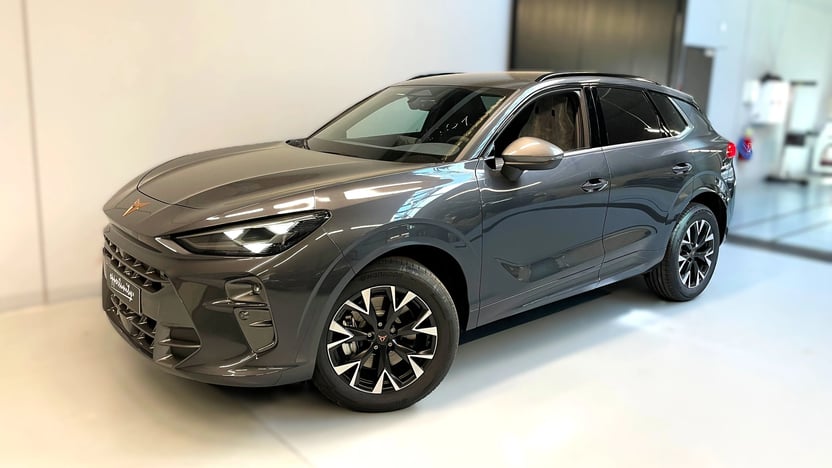 Obrázek Terramar 2.0 TSI 204k DSG 4WD
