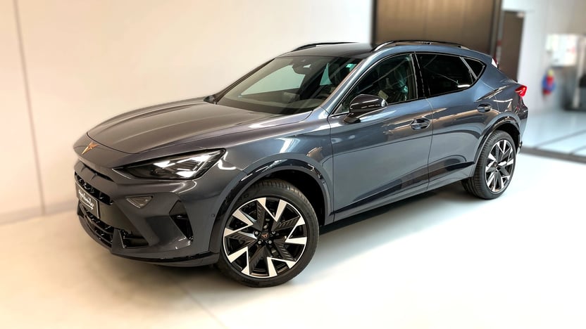 Obrázek Formentor 2.0 TSI 204k DSG 4WD