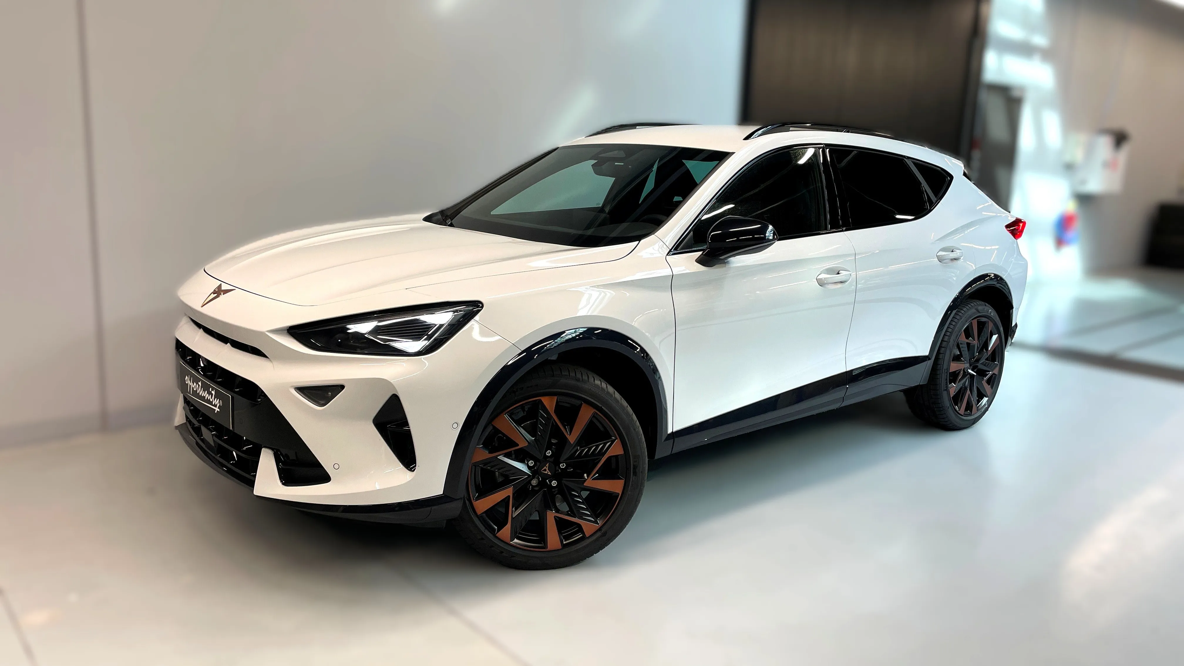 Obrázek Formentor 2.0 TSI 204k DSG 4WD