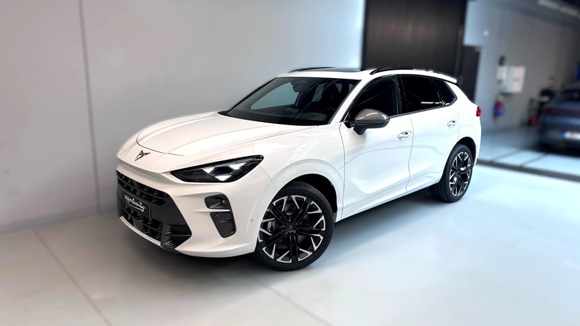 Obrázek Terramar 2.0 TSI 204k DSG 4WD