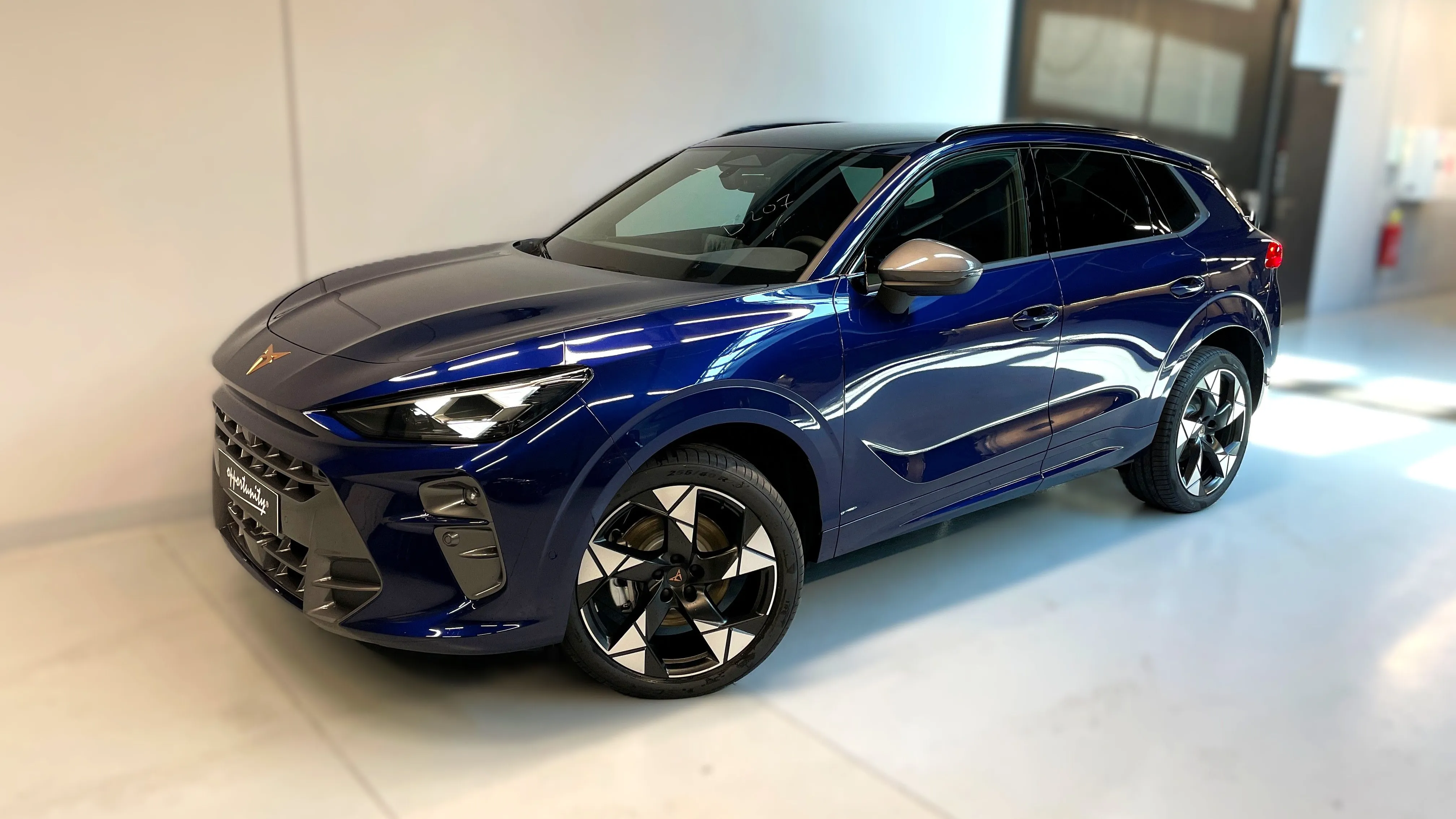 Obrázek Terramar 2.0 TSI 204k DSG 4WD