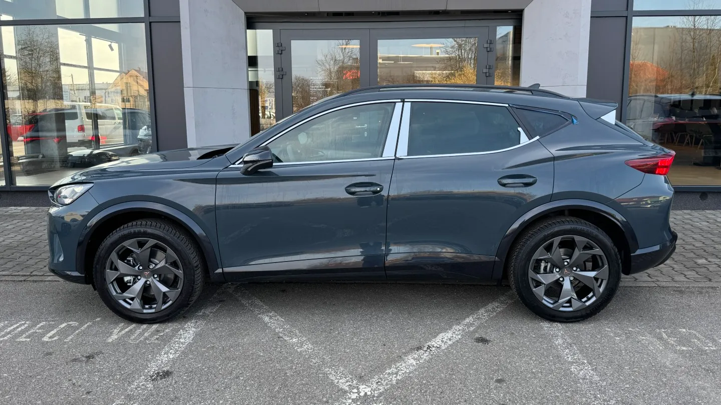 Obrázek Formentor 2.0 TSI 204k DSG 4WD