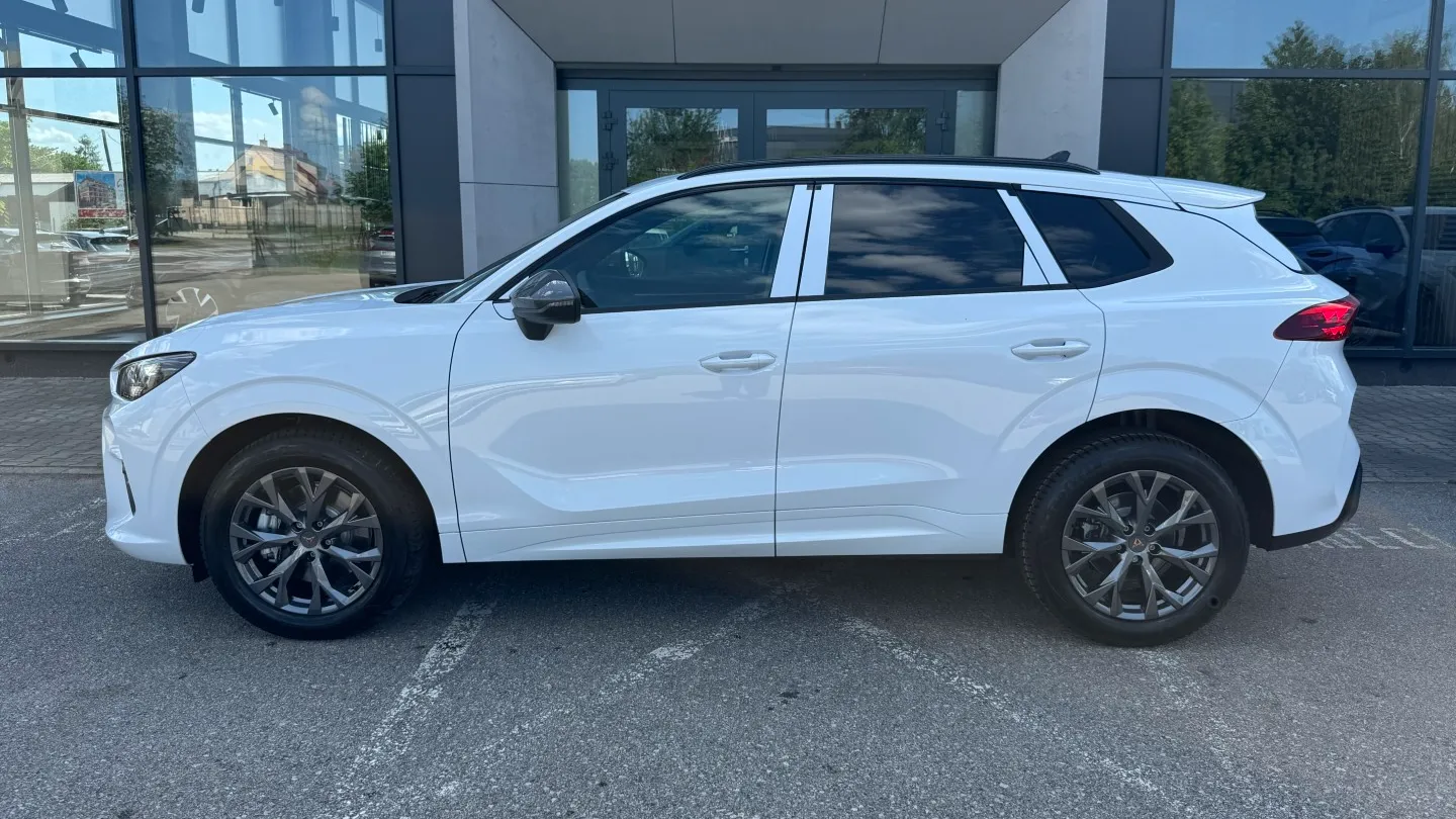 Obrázek Terramar 2.0 TSI 204k DSG 4WD