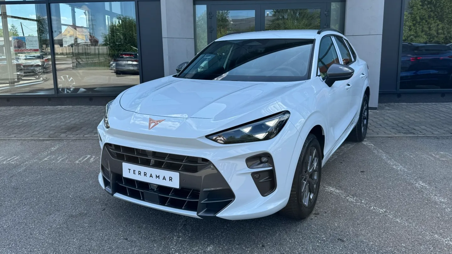 Obrázek Terramar 2.0 TSI 204k DSG 4WD