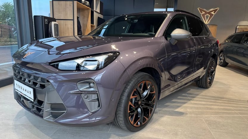 Obrázek Terramar VZ 2.0 TSI 265k DSG 4WD