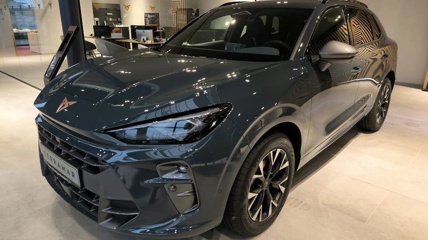 Obrázek Terramar 2.0 TSI 204k DSG 4WD