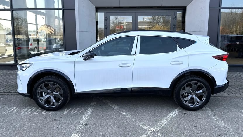 Obrázek Formentor 2.0 TSI 204k DSG 4WD
