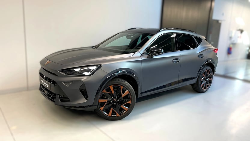 Obrázek Formentor 2.0 TSI 204k DSG 4WD