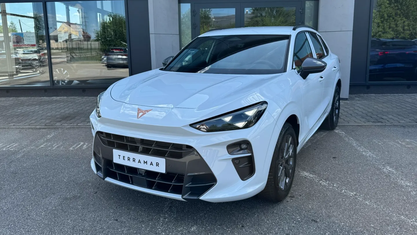 Obrázek Terramar 2.0 TSI 204k DSG 4WD