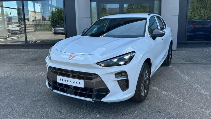 Obrázek Terramar 2.0 TSI 204k DSG 4WD