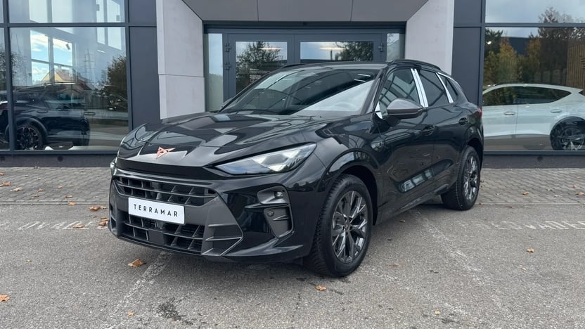Obrázek Terramar 2.0 TSI 204k DSG 4WD