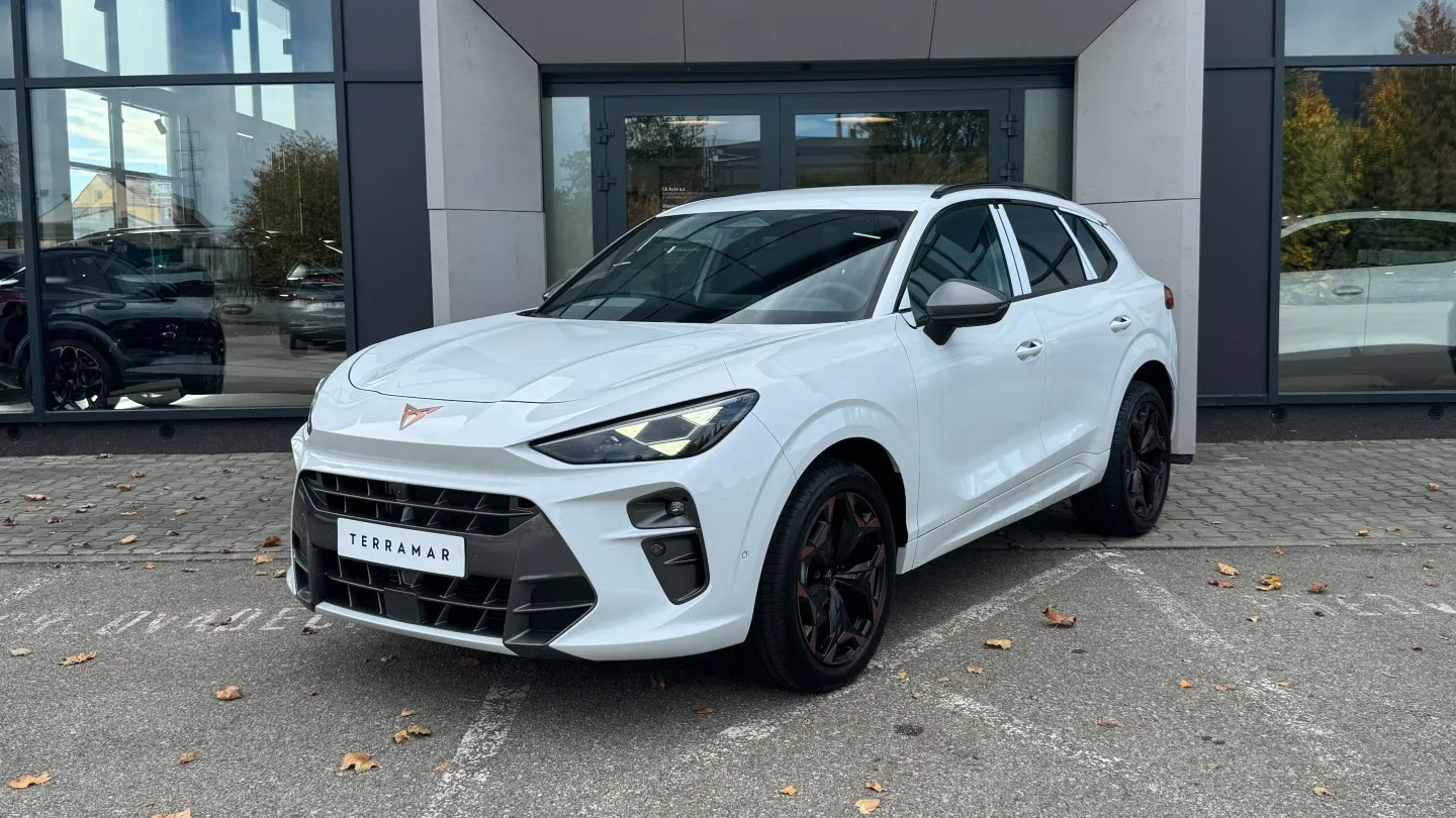 Obrázek Terramar 2.0 TSI 204k DSG 4WD