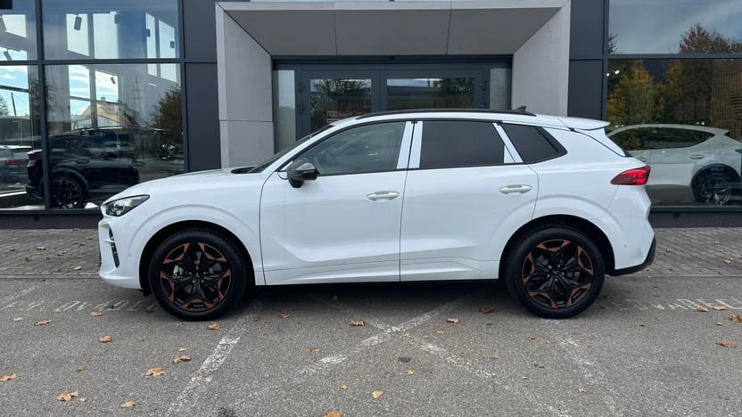Obrázek Terramar 2.0 TSI 204k DSG 4WD