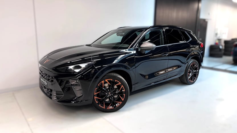 Obrázek Terramar VZ 2.0 TSI 265k DSG 4WD