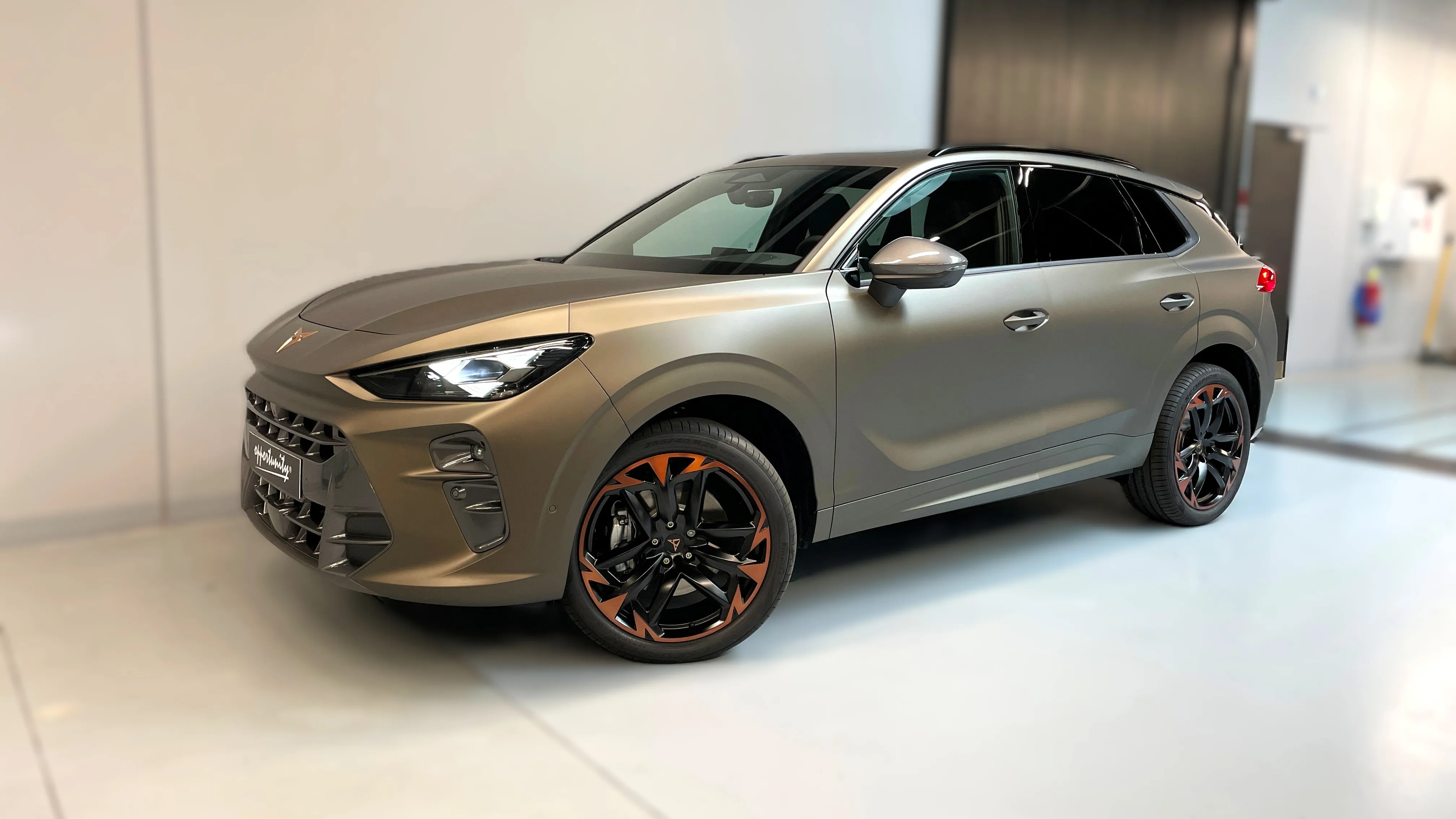 Obrázek Terramar VZ 2.0 TSI 265k DSG 4WD