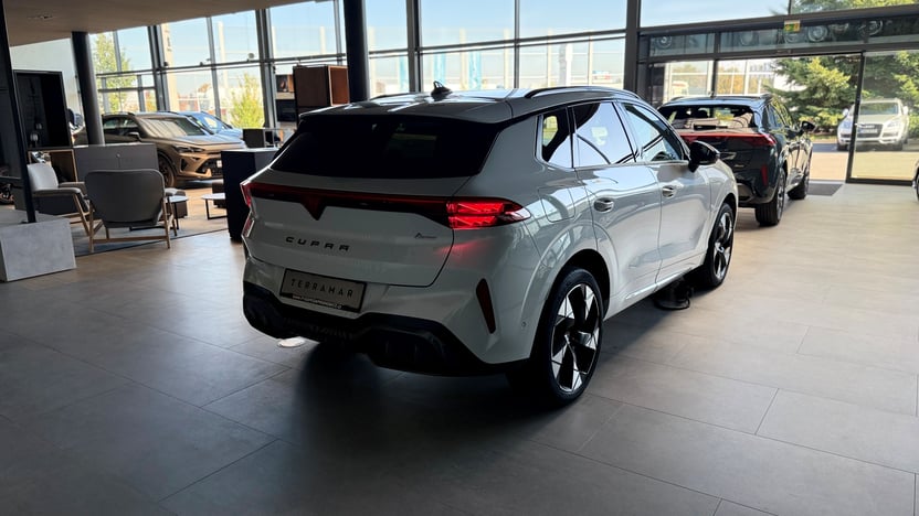 Obrázek Terramar VZ 2.0 TSI 265k DSG 4WD