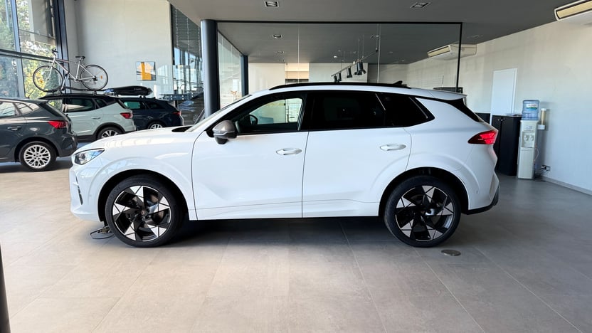 Obrázek Terramar VZ 2.0 TSI 265k DSG 4WD