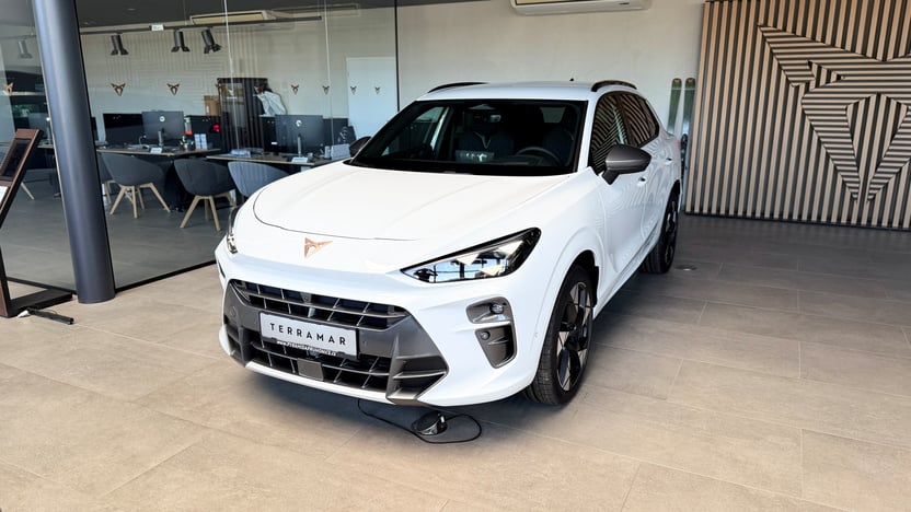 Obrázek Terramar VZ 2.0 TSI 265k DSG 4WD