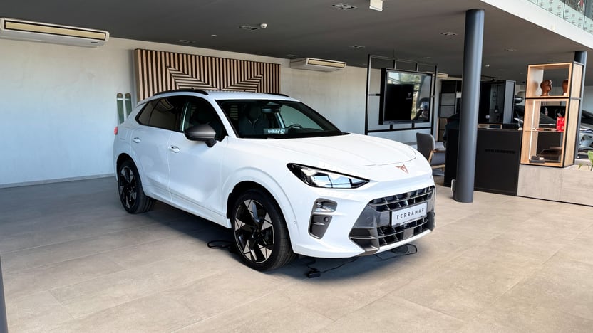 Obrázek Terramar VZ 2.0 TSI 265k DSG 4WD