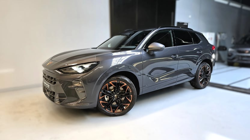 Obrázek Terramar VZ 2.0 TSI 265k DSG 4WD