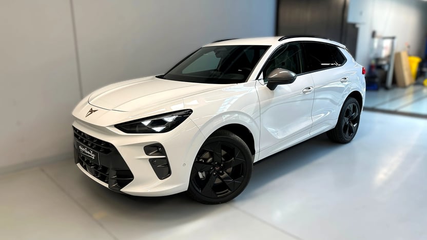 Obrázek Terramar 2.0 TSI 204k DSG 4WD