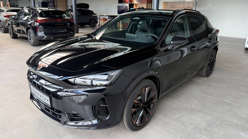 Obrázek Formentor VZ 2.0 TSI 333k DSG 4WD