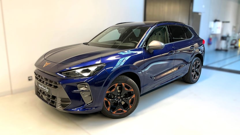 Obrázek Terramar 2.0 TSI 204k DSG 4WD