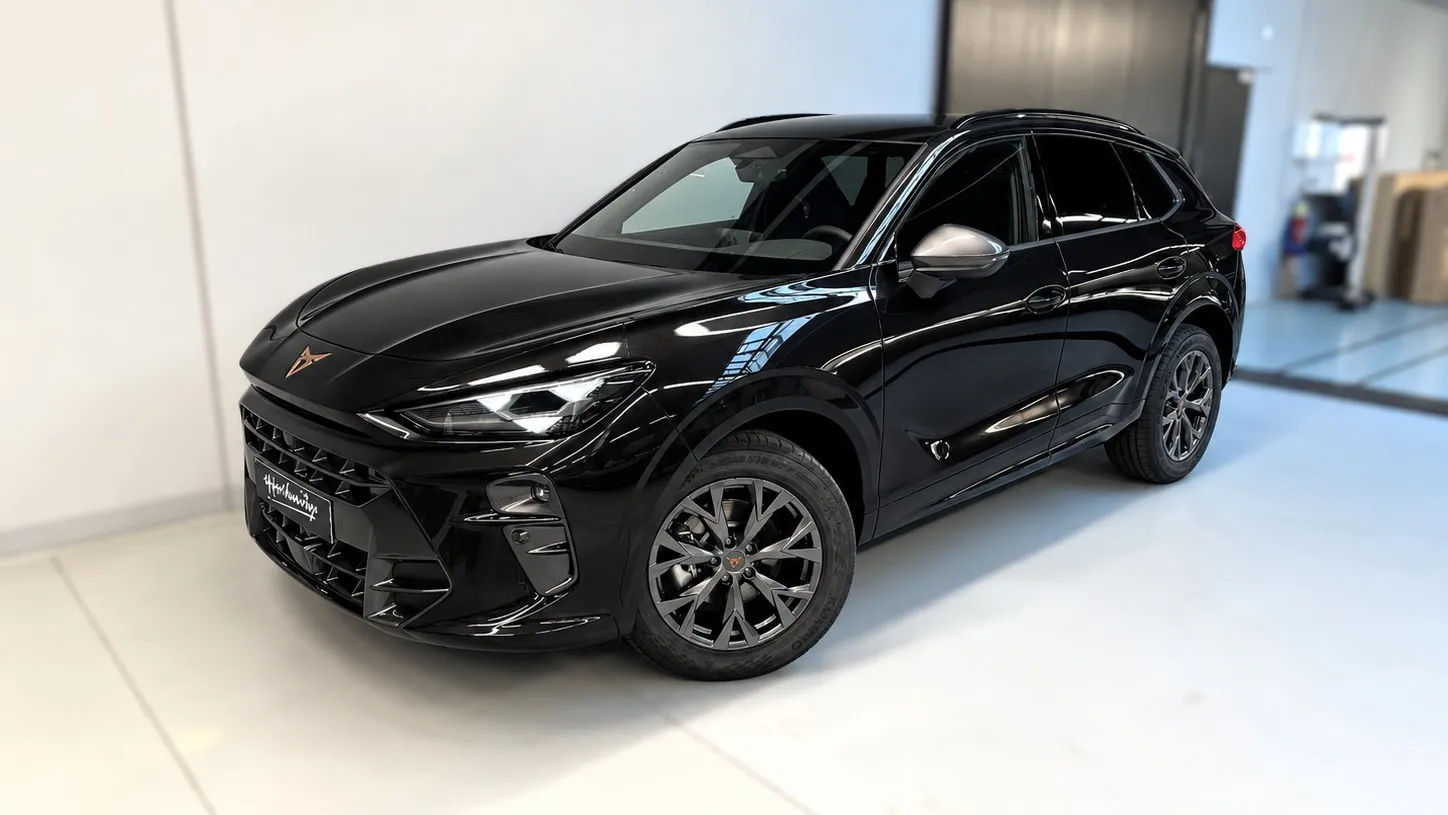 Obrázek Terramar 2.0 TSI 204k DSG 4WD