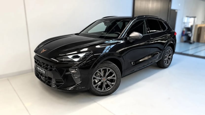 Obrázek Terramar 2.0 TSI 204k DSG 4WD