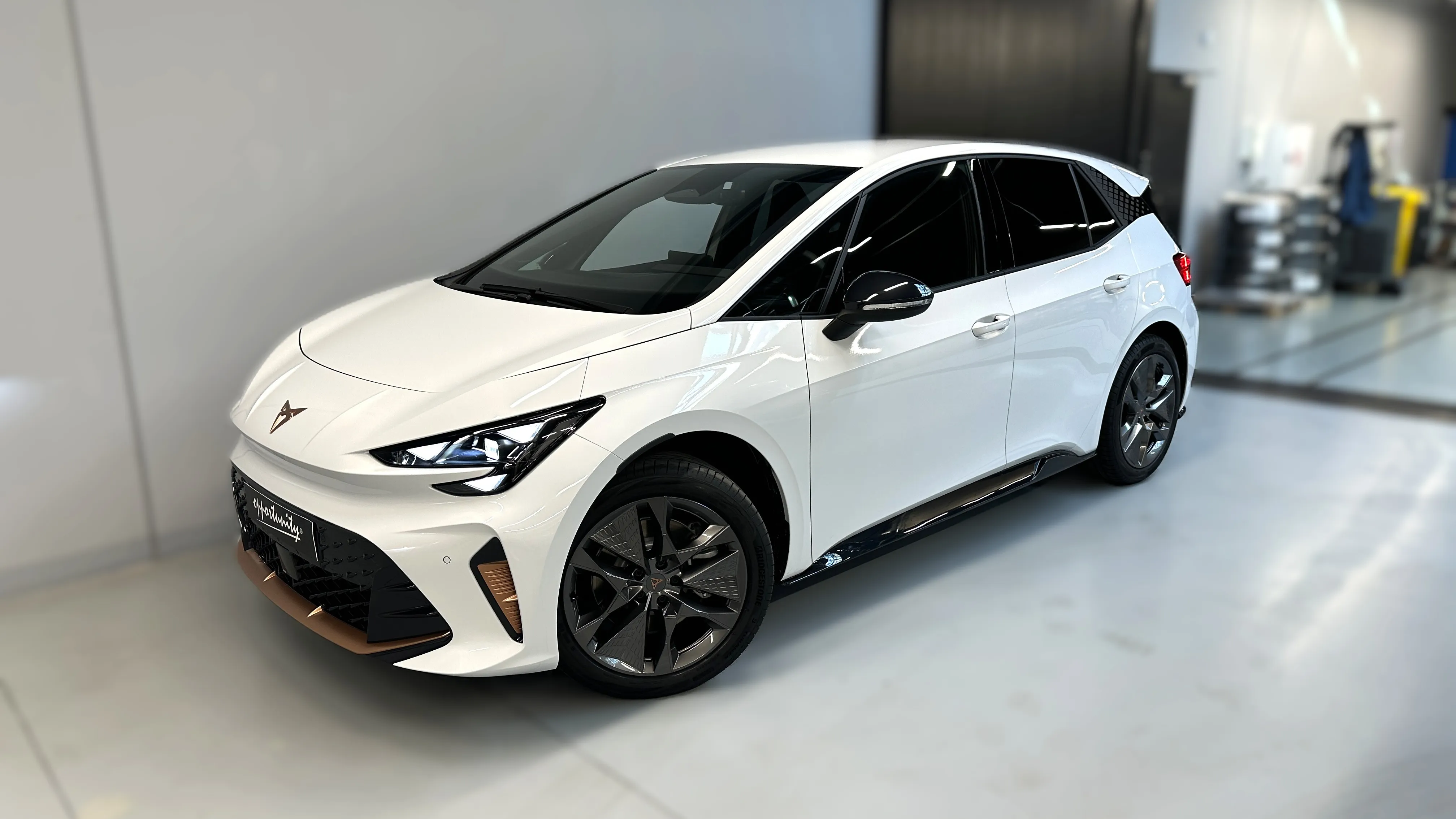 Obrázek Born 58 kWh / 190k