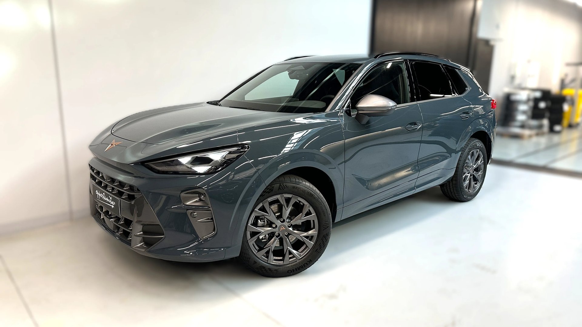 Cupra CUPRA Terramar Terramar 1.5 eTSI 150k DSG