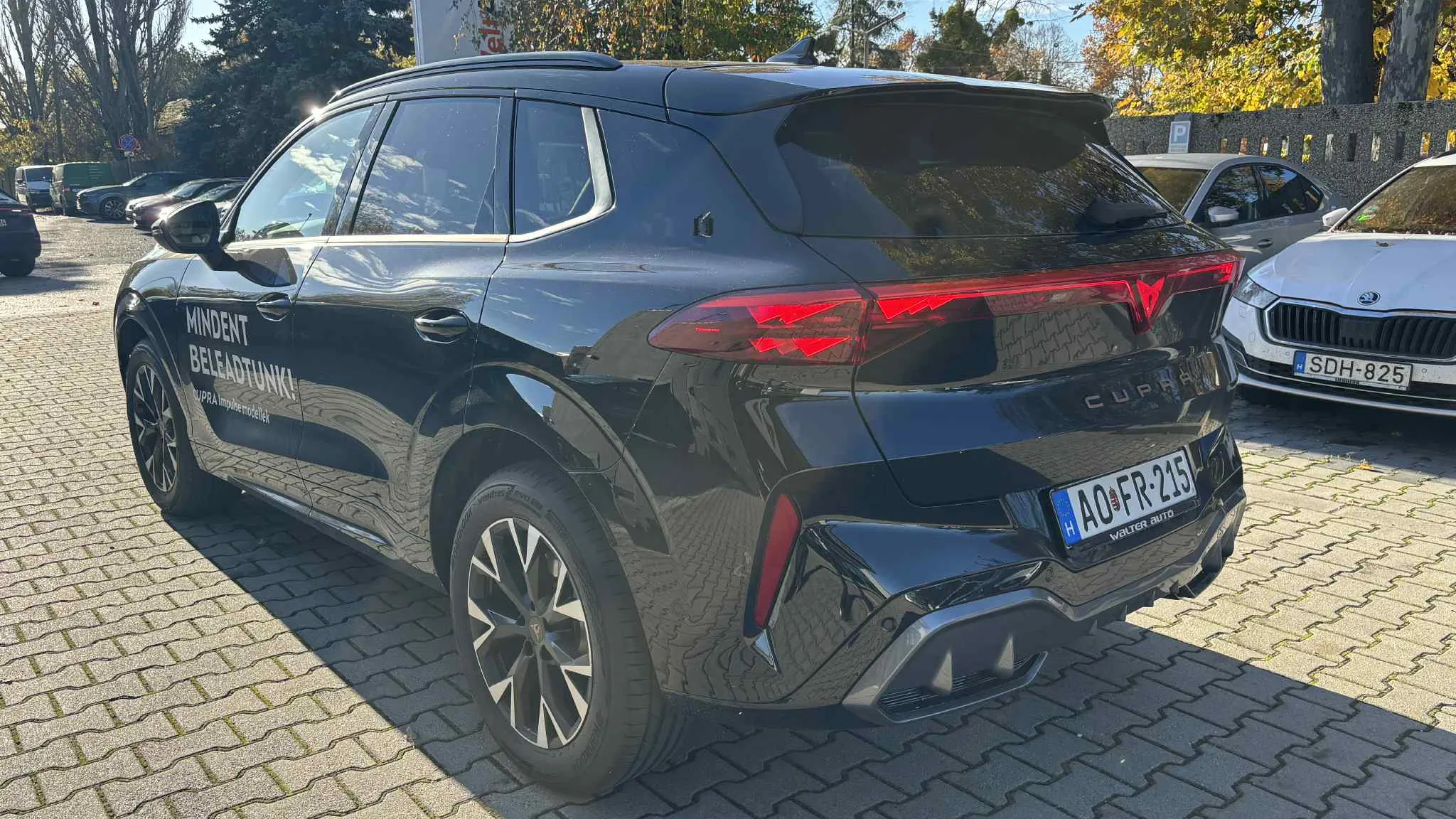 CUPRA Terramar 1.5 TSI DSG mHEV Impulse képe