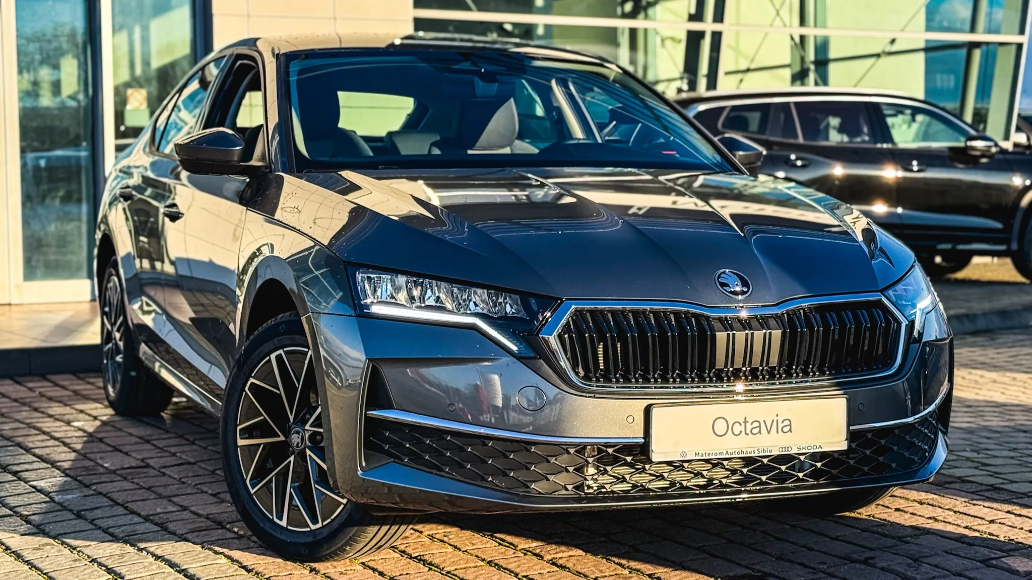 Imaginea unui Octavia Selection 2.0 TDI DSG