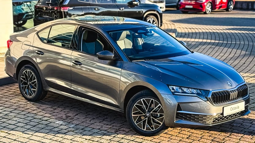 Imaginea unui Octavia Selection 2.0 TDI DSG