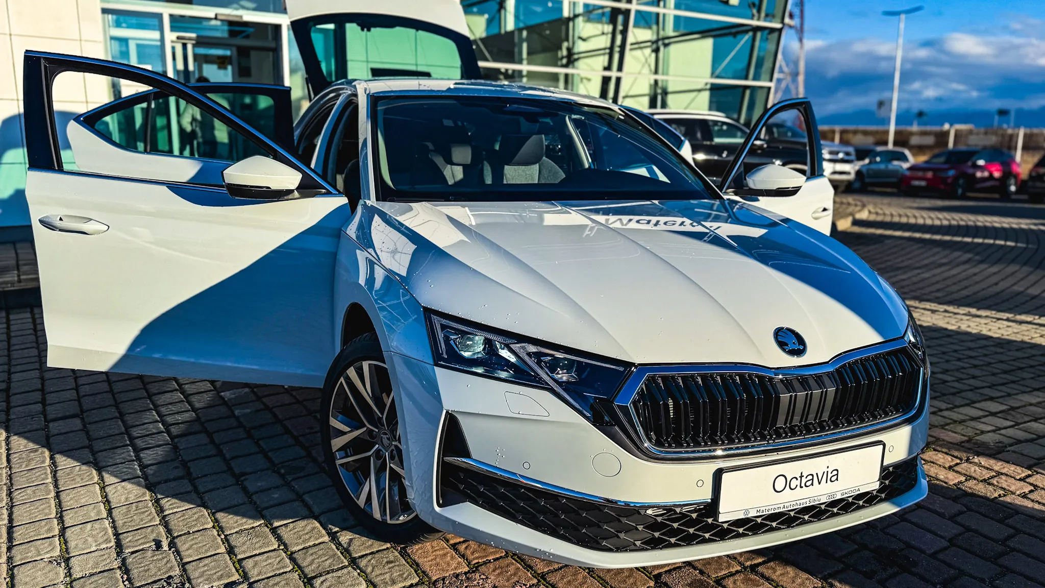 Imaginea unui Octavia Selection 2.0 TDI DSG