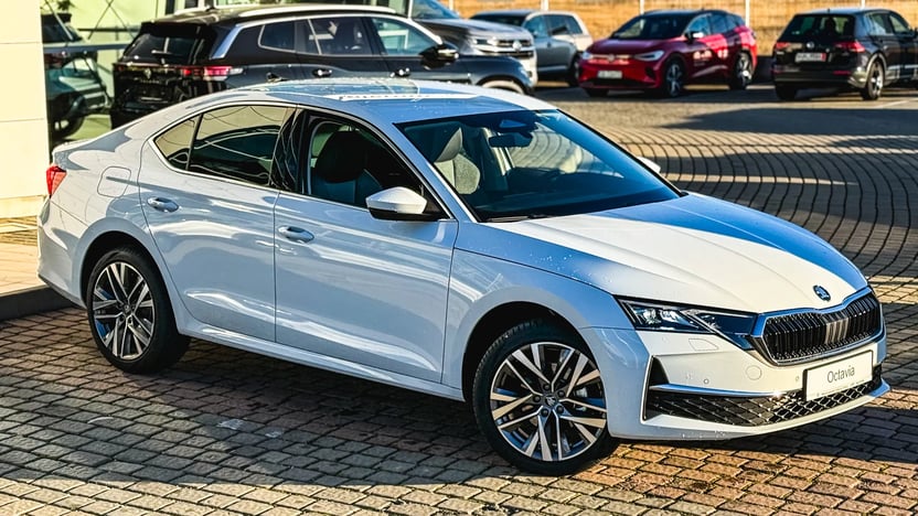 Imaginea unui Octavia Selection 2.0 TDI DSG