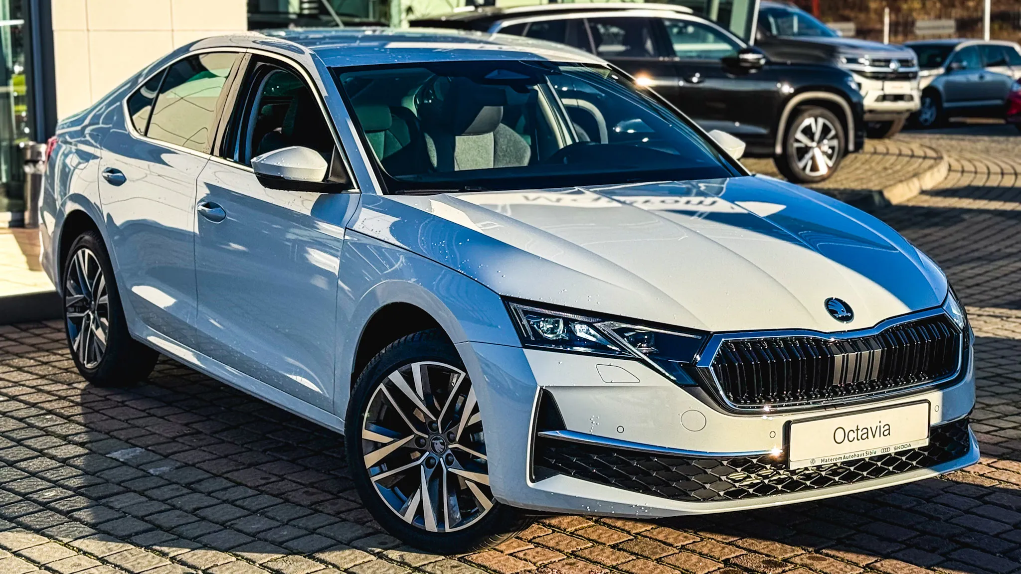 Imaginea unui Octavia Selection 2.0 TDI DSG