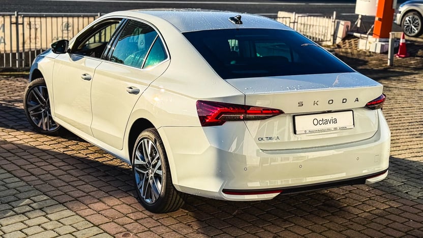 Imaginea unui Octavia Selection 2.0 TDI DSG