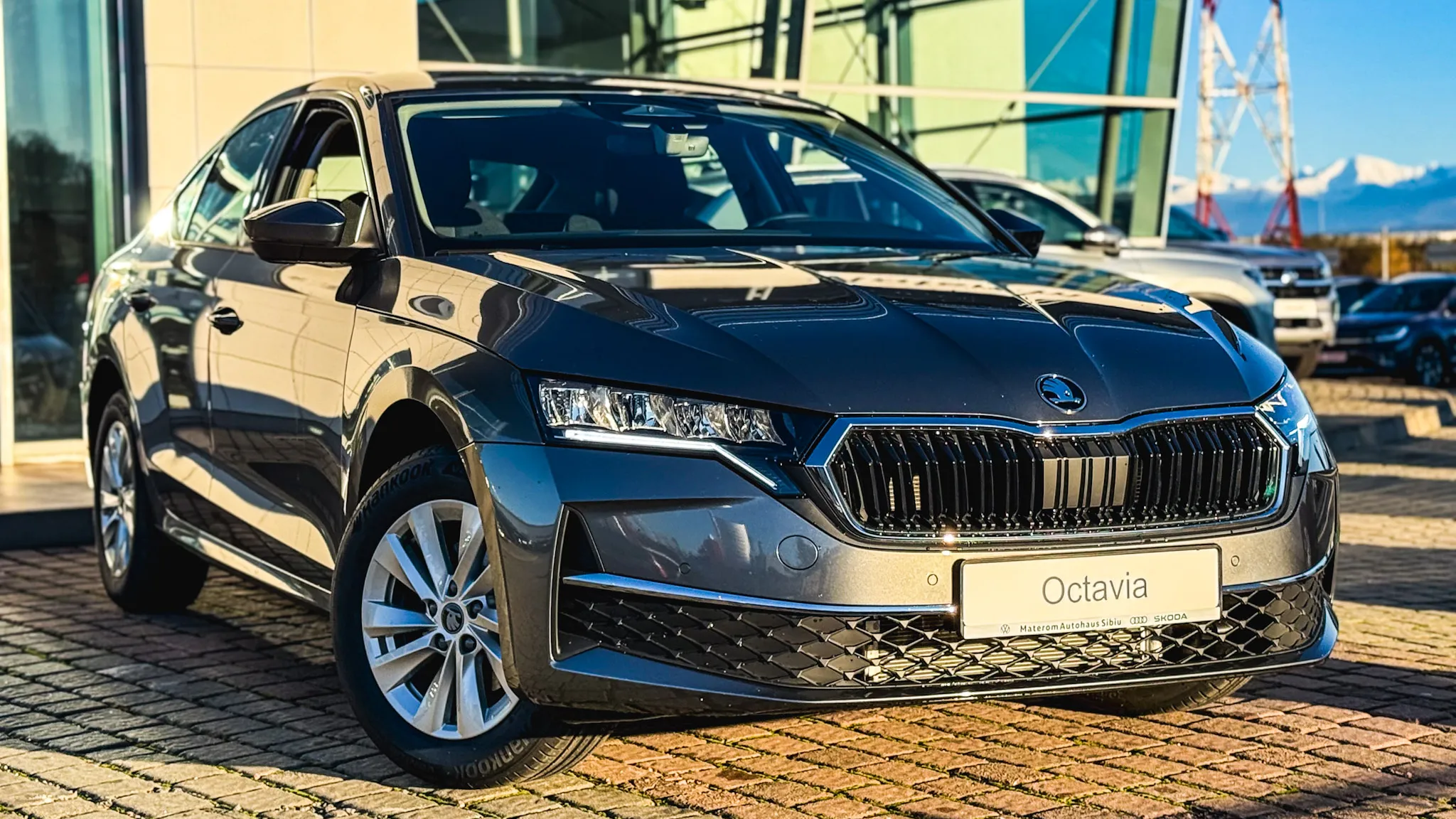 Imaginea unui Octavia Selection 2.0 TDI DSG