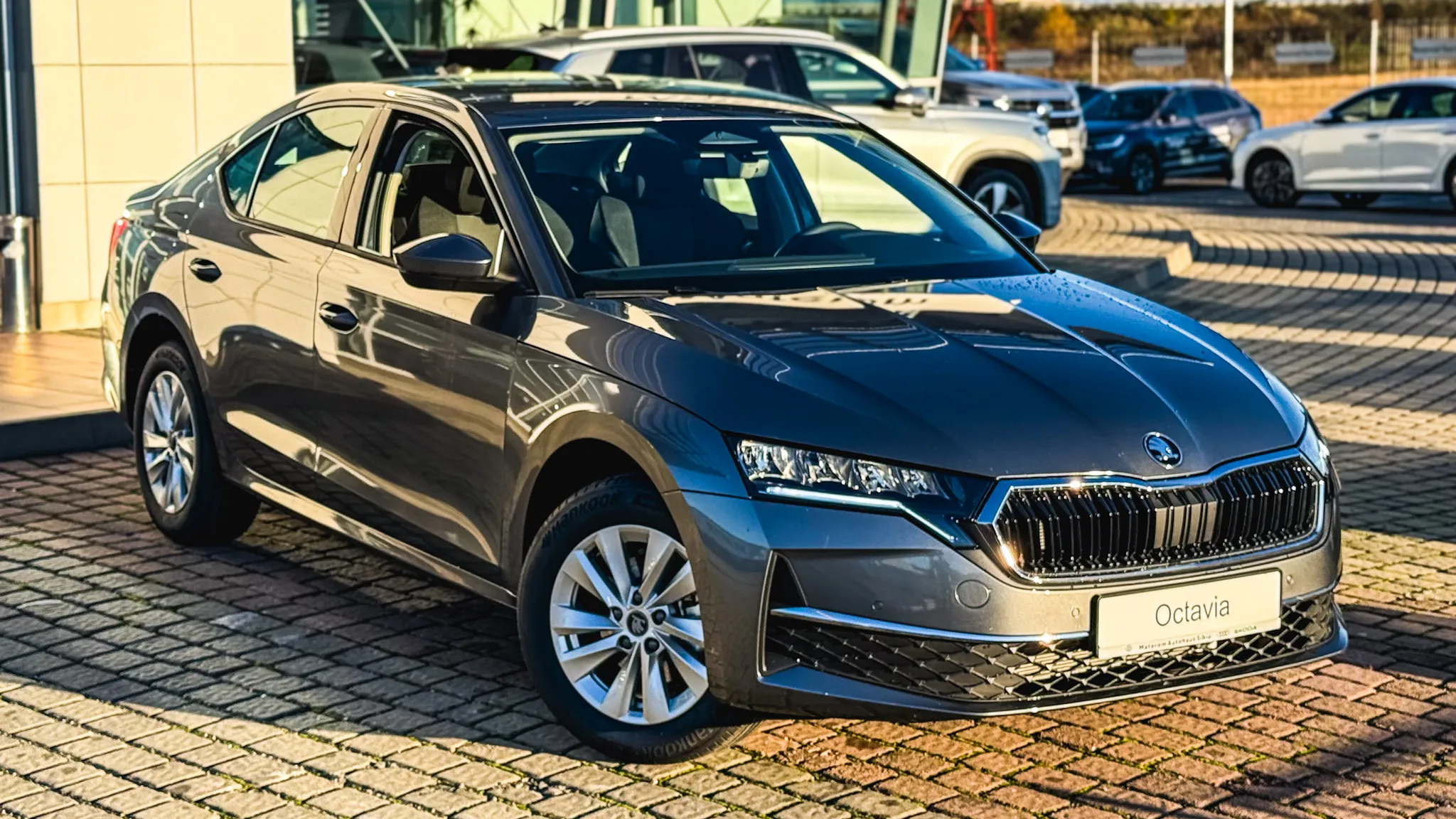 Imaginea unui Octavia Selection 2.0 TDI DSG